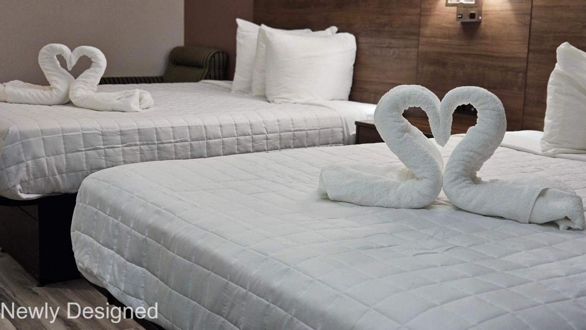 Best Western Hopkinsville Ky - Brand New Rooms Buitenkant foto